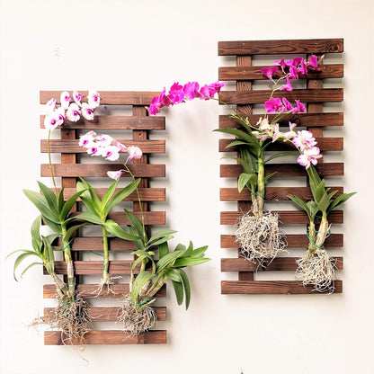 LalaGreen Bundle - 4 inch x 10 Pack Self Watering White Plastic Pot + 4 Pack Wooden Hanging Planters for Indoor Plants, Wall Mount Plant Stand Ladder, Outdoor Vertical Garden