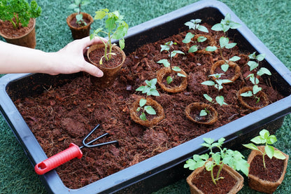 PlantBest 3.25 Inch Coconut Coir Biodegradable Pots – 22 Pack, Plantable Seed Starter Pots, Peat-Free, Sustainable Growing Containers