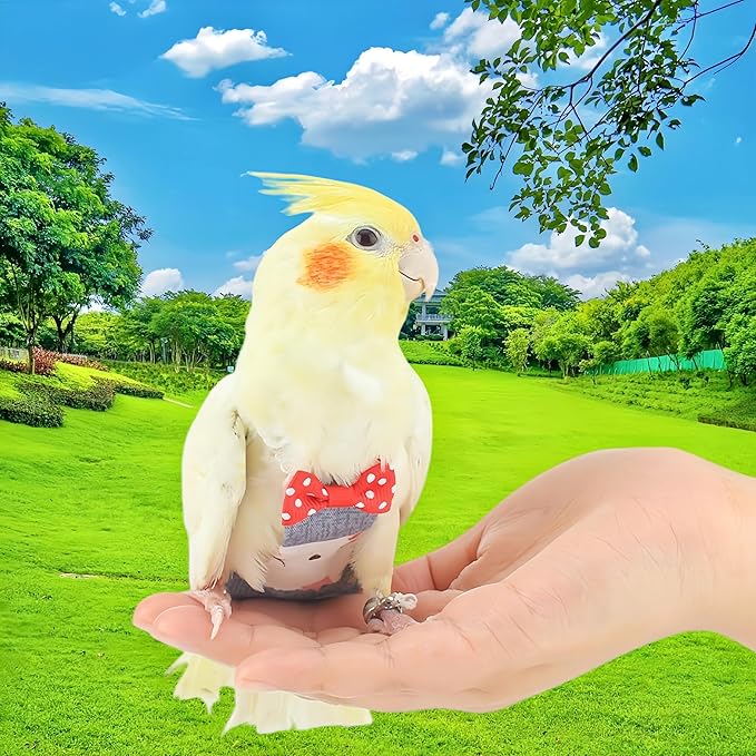 2Pcs Bird Diapers Bird Harness Flight Suits Diapers with 80 Inch Flying Leash Parrot Nappy Washable Cute Urine Wet Suit for Cockatiel Conure Macaw Budgies Parakeet-Rabbit&Kitten,M