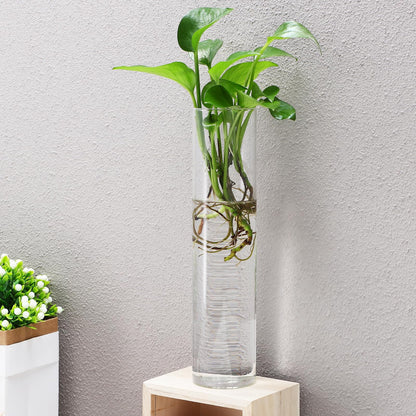 SILENRADAWN Cylinder Glass Wall Vase Set 2pcs Hanging Hydroponic Flower Tube Vases for Indoor Plants Wall-Mounted Plant Holders Decorative Terrarium Containers for Home and Office