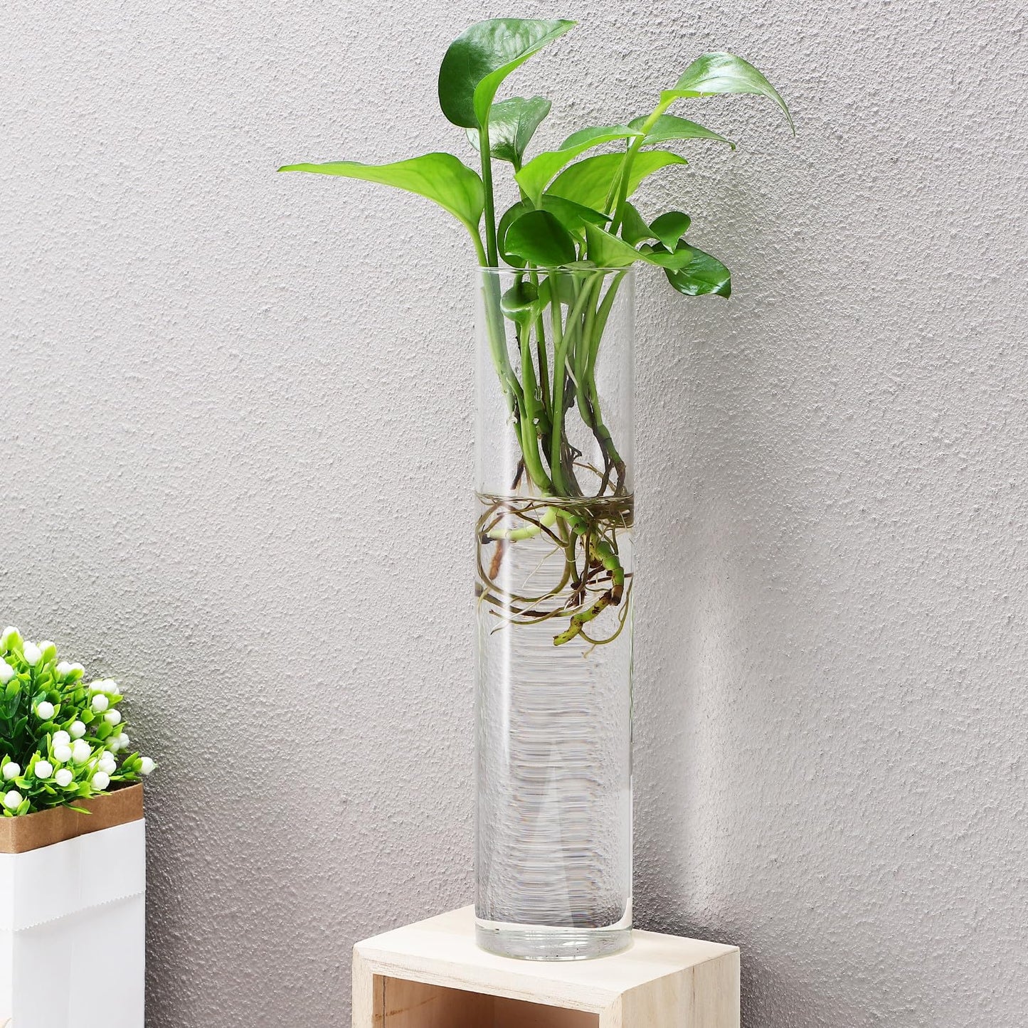 Angoily Wall Mounted Flower Vase Glass Tube Propagation Station 2pcs Hanging Terrarium Indoor Planter for Hydroponic Plants Modern Home Décor