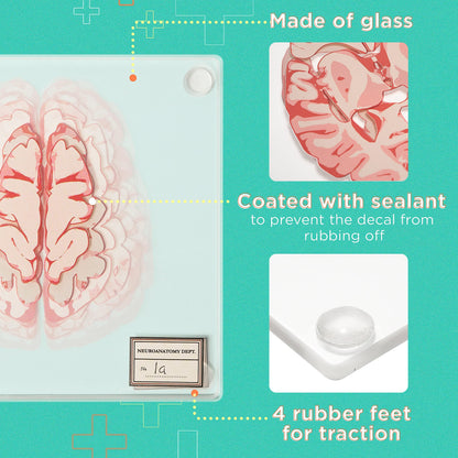 ThinkGeek Anatomic Brain Specimen Coasters Set of 10 for Neuroscience Medical Student Gifts Human Anatomy Generix geek