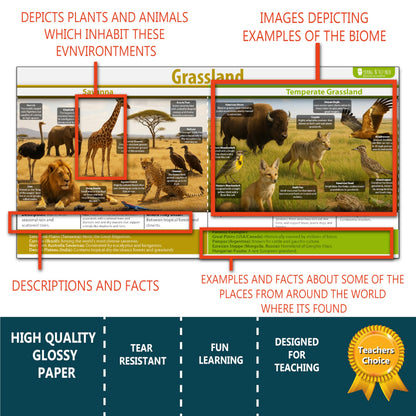 Earths Habitats ecosystem Line bulletin board set, 9 charts pack Glossy Paper (9"x18") Young N Refined