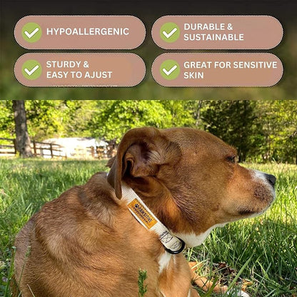 Pawsitive Hemp Dog Collar - Super Soft Hypoallergenic Lining. Great for Small, Medium and Large Dogs; Small Natural