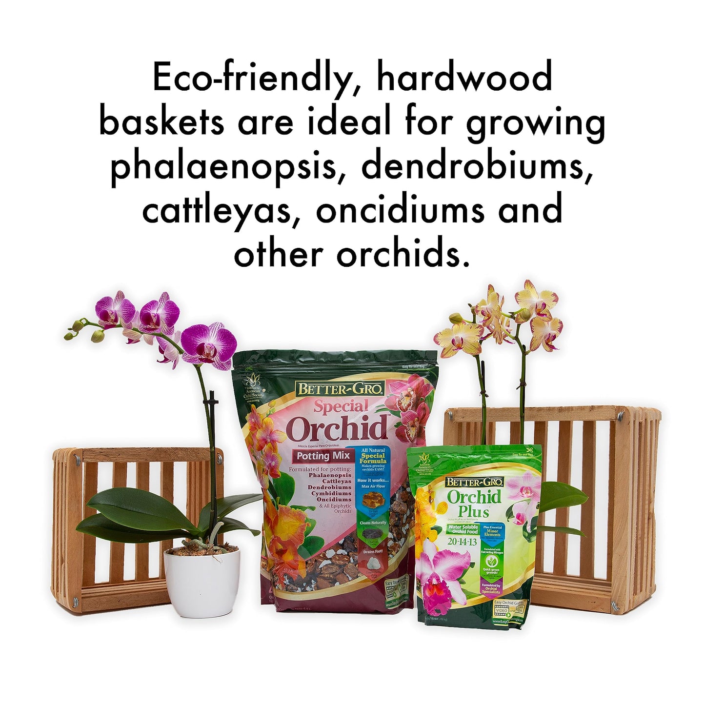 Sun Bulb 52720 Better GRO Square Cedar Basket, 8"