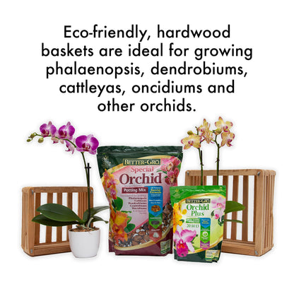 Sun Bulb 52720 Better GRO Square Cedar Basket, 8"
