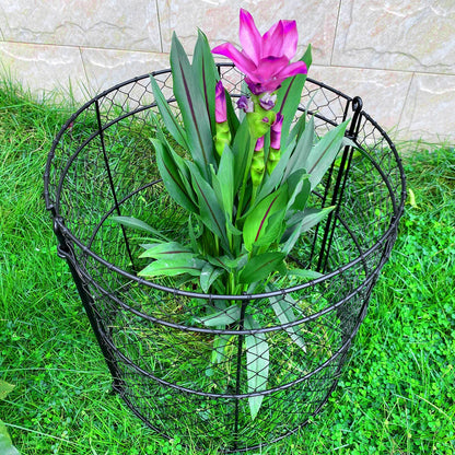 6 Pack Heavy-Duty Chicken Wire Plant Cloches, 14"x16" Rustproof Chicken Wire Cages for Flowers, Seedlings & Vegetables, Combine to Large Fences for Raised Beds & Patios, Keep Rabbits, Squirrels Out