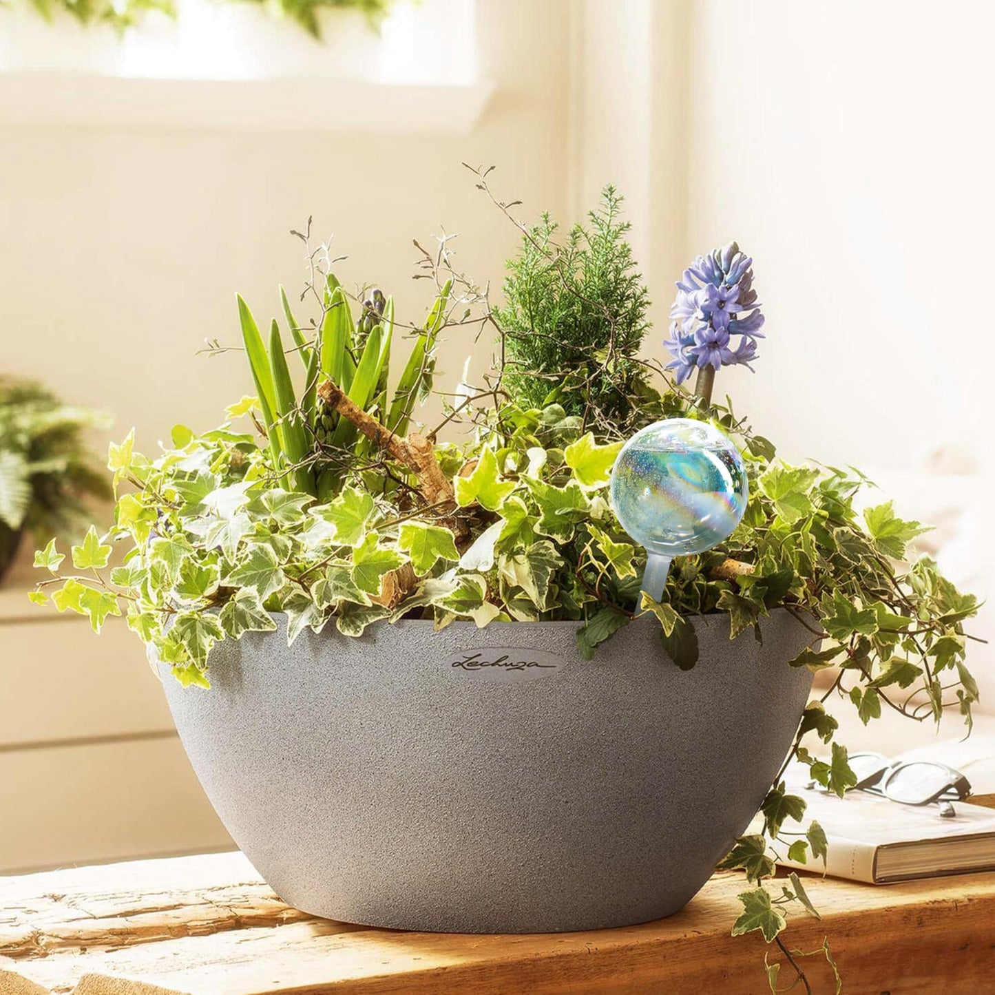 Mission Gallery Clear Plant Watering Globes Set of 2 - Small Self Watering Globes for Indoor & Outdoor Plants - Automatic Glass Watering Bulbs for Daily Use, Plant Watering Devices