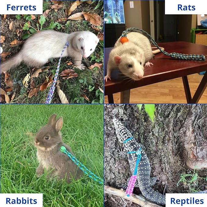 Ferret Leash Harness Adjustable Squirrel, Ferret Leash and Harness Sets for Ferrets Guinea Pig Chinchilla Rat Dragon Bearded Small Animal, Pet Squirrel Ferrets Accessories (Pink)