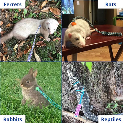 Ferret Leash Harness Adjustable Squirrel, Ferret Leash and Harness Sets for Ferrets Guinea Pig Chinchilla Rat Dragon Bearded Small Animal, Pet Squirrel Ferrets Accessories (Pink)