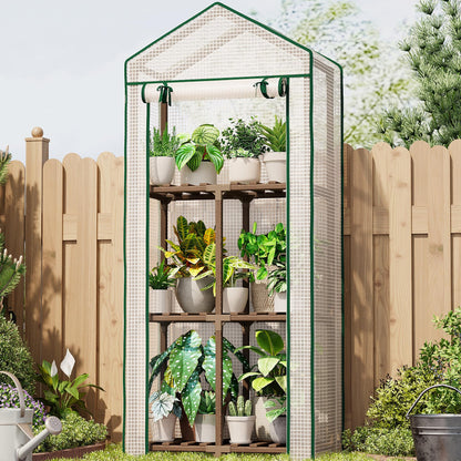 Bamworld 23 x 17 x 54-Inch Mini Greenhouses for Outdoors Portable Green House with PE Cover Sturdy Eucalyptus Wood Frame Small Greenhouse for Winter Plant Frost Protection Plant Garden Hot House