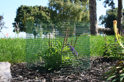 6 New Small Wire Plant Protectors, 12" Square, 12" high (Vinyl Coated Rust Resistant Wire)