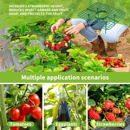 GouZaak 16 Pack Square Strawberry Supports Stand for Garden Strawberry Growing Racks for Keeping Garden Strawberry Clean (Green)