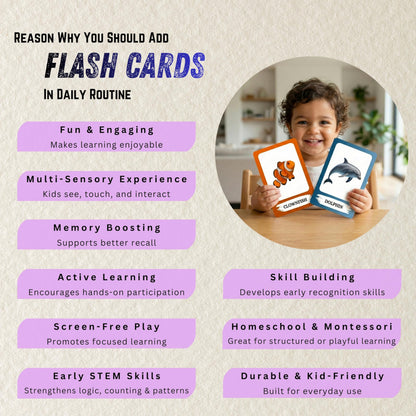The Biblio Hub Sea Animals Flashcards – Non-Tearable Synthetic Learning Cards for Toddlers, Preschool & Kindergarten, Double-Sided Set