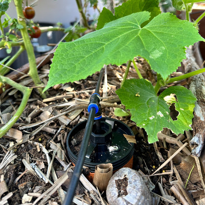 Thirsty Earth: CottaCup Automatic Olla Watering System for Your Garden (3 Cup Kit)