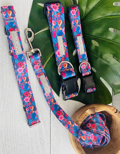 Lucky Love Dog Martingale Dog Collar & Leash - Adjustable, No-Slip, Durable, Comfortable, Soft Webbing, & Stylish Patterned Collar & Leash Set for Male and Female Dogs - Zuzu Combo, Large