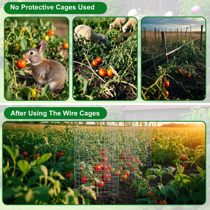 winemana 12 Set Garden Plant Protector Cage, 36 Pcs 16x12 IN Metal Wire Protectors for Plants Protection Cages with Stakes Nylon Ties Animals Barrier to Keep Rabbit Chicken Away from Flower Vegetables