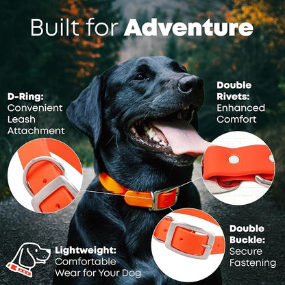 Regal Dog Products Medium Orange Waterproof Dog Collar and Leash Set | Heavy Duty Double Buckle & D Ring - 5'ft Leash | Adjustable Biothane Dog Collar | Chew Resistant Waterproof Collar for Dogs