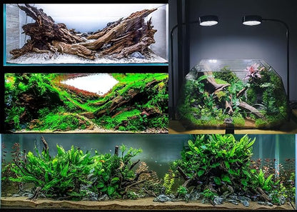 Azil Natural Driftwood 9''-12'' (2 Pieces) – Perfect Aquarium Decoration for Fish Tanks, Freshwater Aquariums, Terrariums, Aquascaping, Hardscaping, Aquatic Plants
