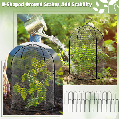 Novabright 6 Pack Garden Cloches for Plants 12" x 16" with Stakes & Zip Ties, Plant Covers from Animals Large Metal Mesh Chicken Wire Cloche Plant Protector Cage for Vegetable Garden Outdoor (Black)