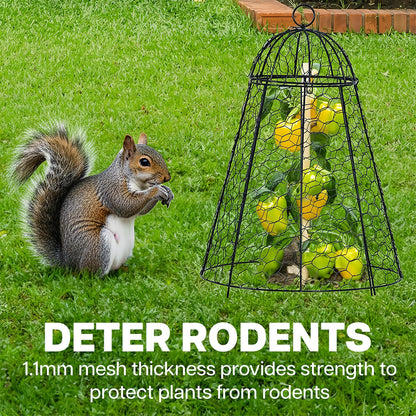 Life Finds Chicken Wire Garden Cloche Set, Protective Plant Cover for Flowers and Produce with Removable Top, Protection from Animals, Pack of 6, LF-GC6P