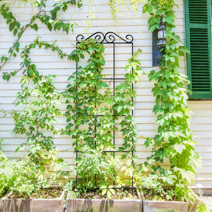 ARIFARO 57.5'' Metal Garden Trellis for Climbing Plants,(Pack of 4) Indoor/Outdoor Sturdy Plant Trellis for Potted Plants,House Plants, Climbing Vines, Black