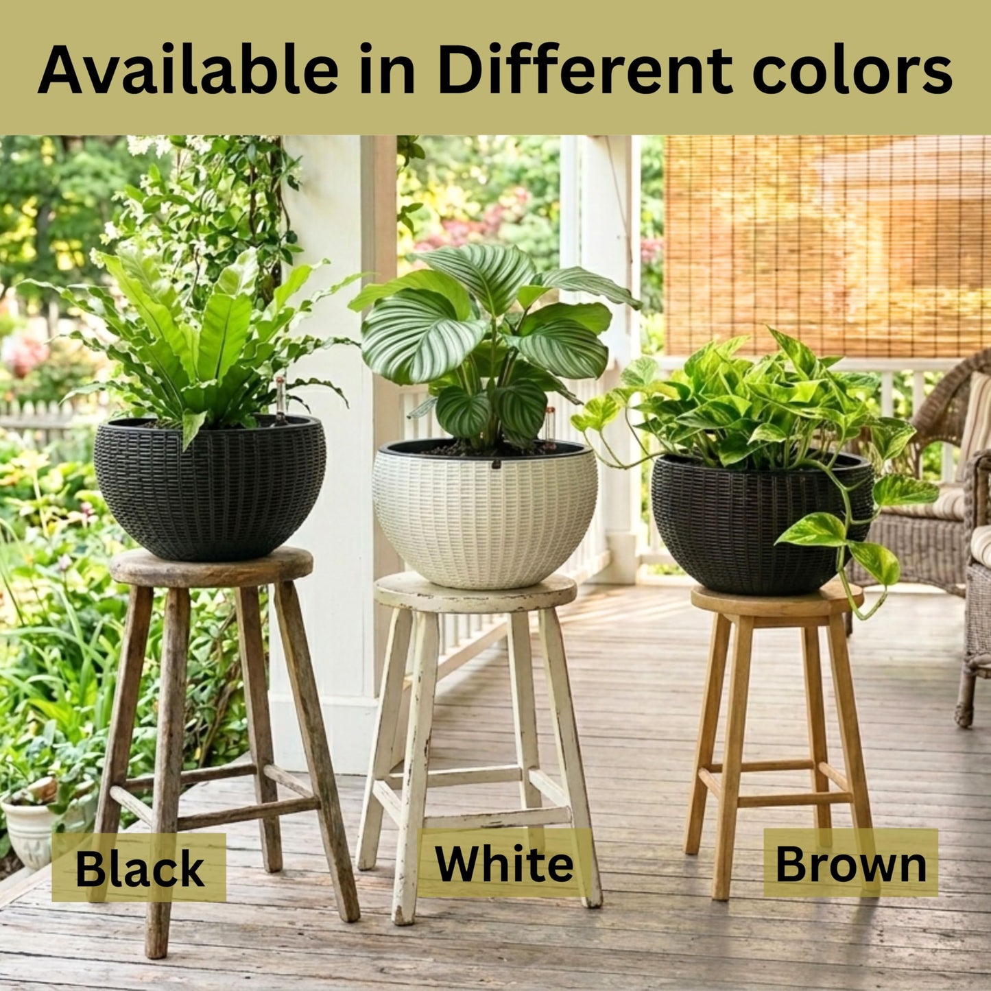 LaLaGreen Bundle- 4 Pack, 11 Inch Brown + 2 Pack, 11 Inch White Self Watering Hanging Plant Pots Round Plastic Flower Baskets with Metal Chain Rattan Style Deck Balcony Decor Porch Patio Indoor Garden