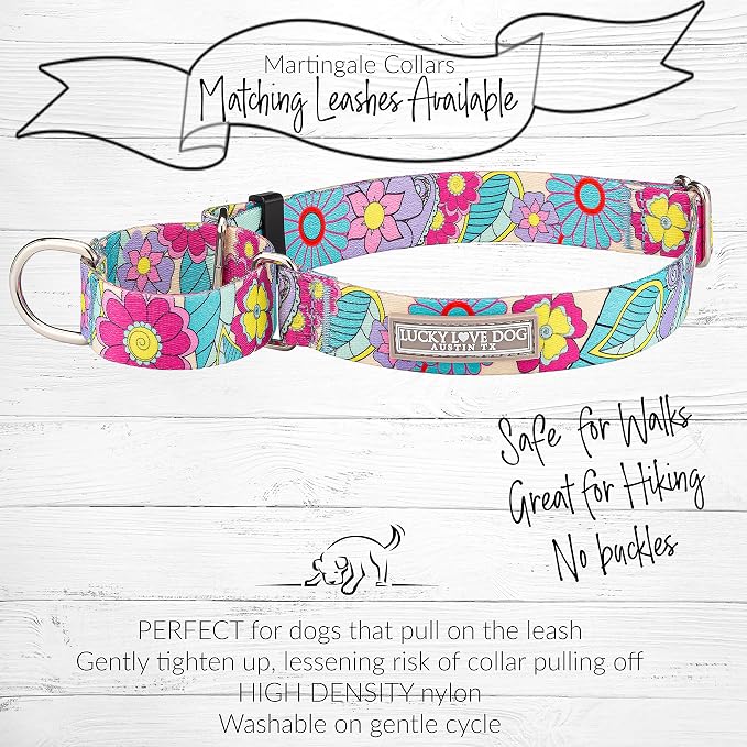 Lucky Love Dog Martingale Collar and Leash Set, Premium No Slip Martingale Collar for Large Dogs, Great for Whippets, Greyhounds, and More (Caroline, Large - Combo)