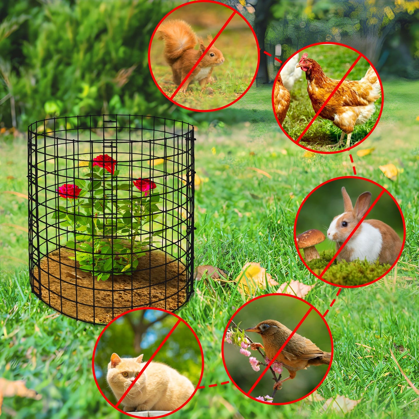 Adnee 10 Packs Wire Plant Protector from Animals - 12" H X 12" D Metal Mesh Plant Cage Covers - Sturdy Garden Bunny Barricades Chicken Wire Cloche for Plants Shrubs Vegetables Flowers