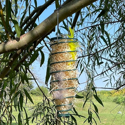 Songbird Essentials Nesting Material