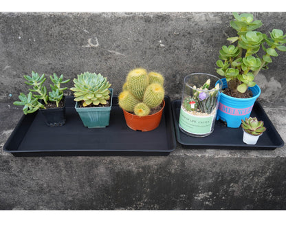 VUWEZ Plant Saucer Growing Tray, Seed Starter Tray Rectangular, Heavy Sturdy Plastic Plant Drainage Saucers, Plant Drip Trays for Pots, Seed Starter Growing Trays (11 x 9 inch, 2 Pack)