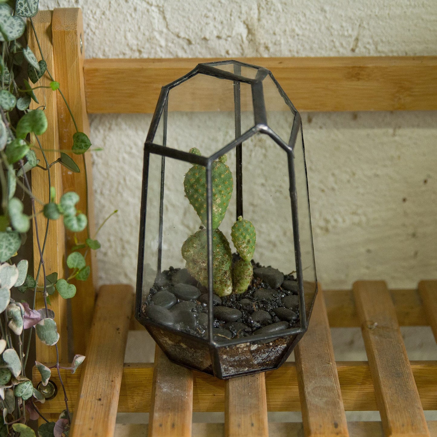 NCYP Small No Door Geometric Terrarium - 4.1" x 3.5" x 5.9" Miniature Irregular Glass Terrarium Planter for Mini Succulent Air Plants - Tabletop Garden Container, Black (No Plants)
