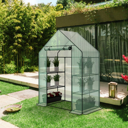 3 Tier 6 Shelves Mini Walk-in Greenhouse, 56 x 28 x 76 inch, Durable PE Cover Green House Kit with Anchors and Ropes, Outdoor Plant Gardening Hot House for Growing Vegetables, Flowers