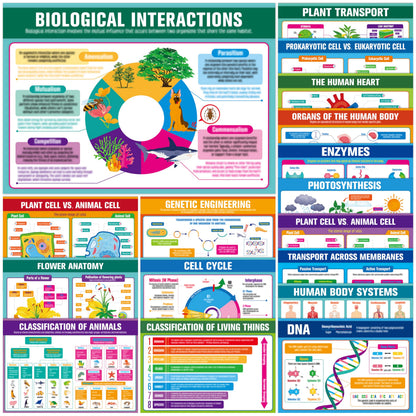 17 Laminated Biology Posters, Human Body System, Cell Anatomy, DNA, Photosynthesis, Educational Science Charts For Middle & High School, Learning Tool For Classroom, Bulletin Board, Room, 11”x16”