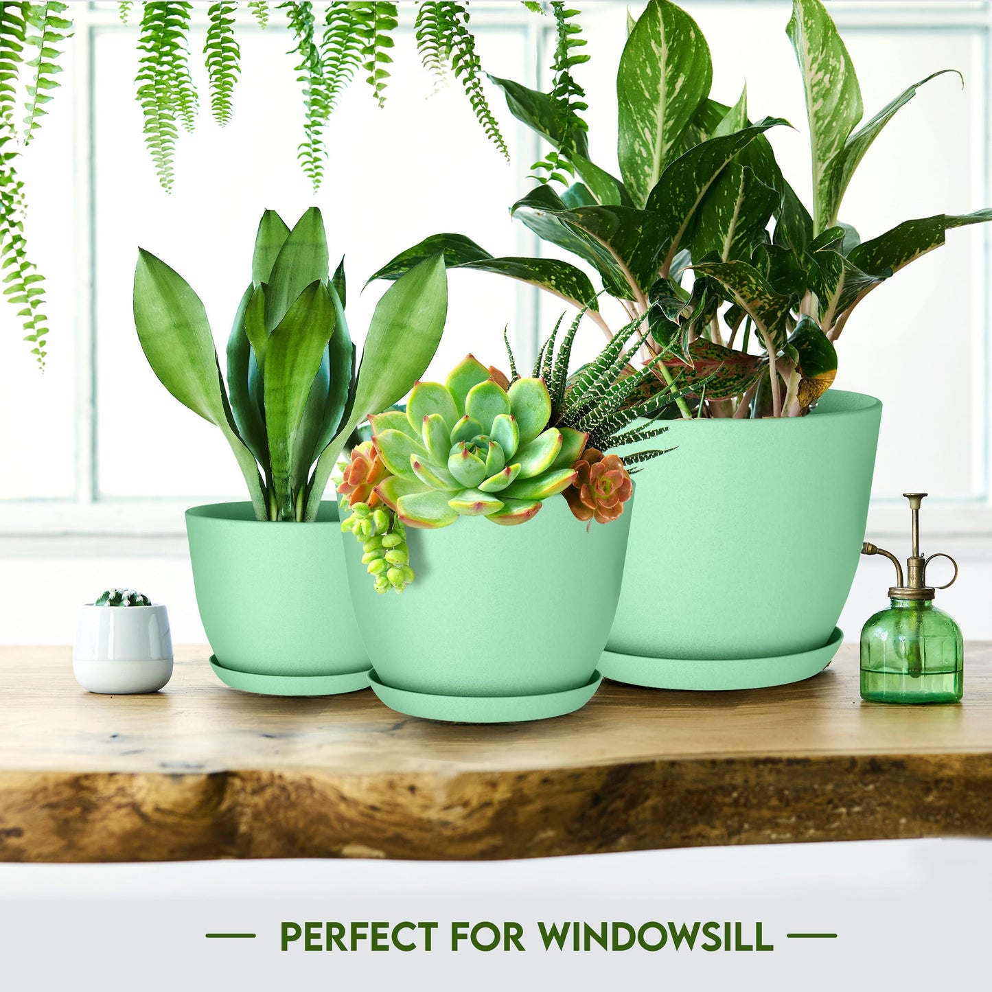 Utopia Home - Plant Pots Indoor with Drainage - 7/6.6/6/5.3/4.8 Inches Home Decor Flower Pots - Plastic Planters for Indoor Plants, Cactus, Succulents Pot (Mint, Pack of 10)