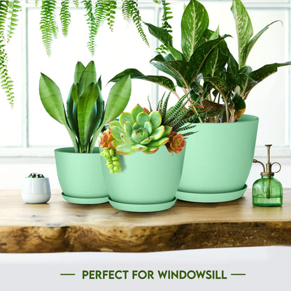 Utopia Home - Plant Pots Indoor with Drainage - 7/6.6/6/5.3/4.8 Inches Home Decor Flower Pots - Plastic Planters for Indoor Plants, Cactus, Succulents Pot (Mint, Pack of 10)