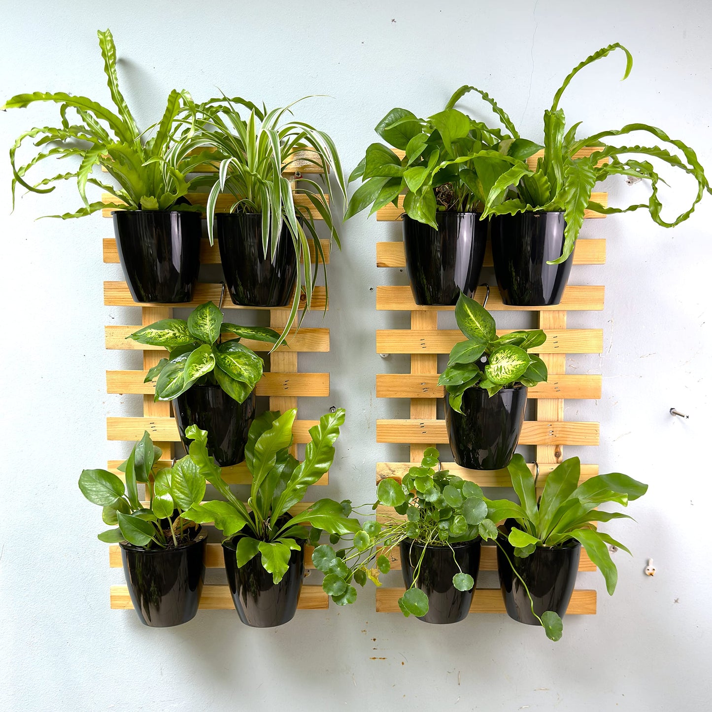 LaLaGreen Bundle - 4" x 10 Pack + 4" x 10 Pack Black and White Self Watering Plastic Pots Wall Mount Plant Holder, Modern Hydroponic Wall Hanging Pot Vertical System Living Plant Wall Garden