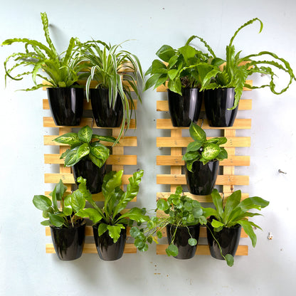LaLaGreen Bundle - 4" x 10 Pack + 4" x 10 Pack Black and White Self Watering Plastic Pots Wall Mount Plant Holder, Modern Hydroponic Wall Hanging Pot Vertical System Living Plant Wall Garden