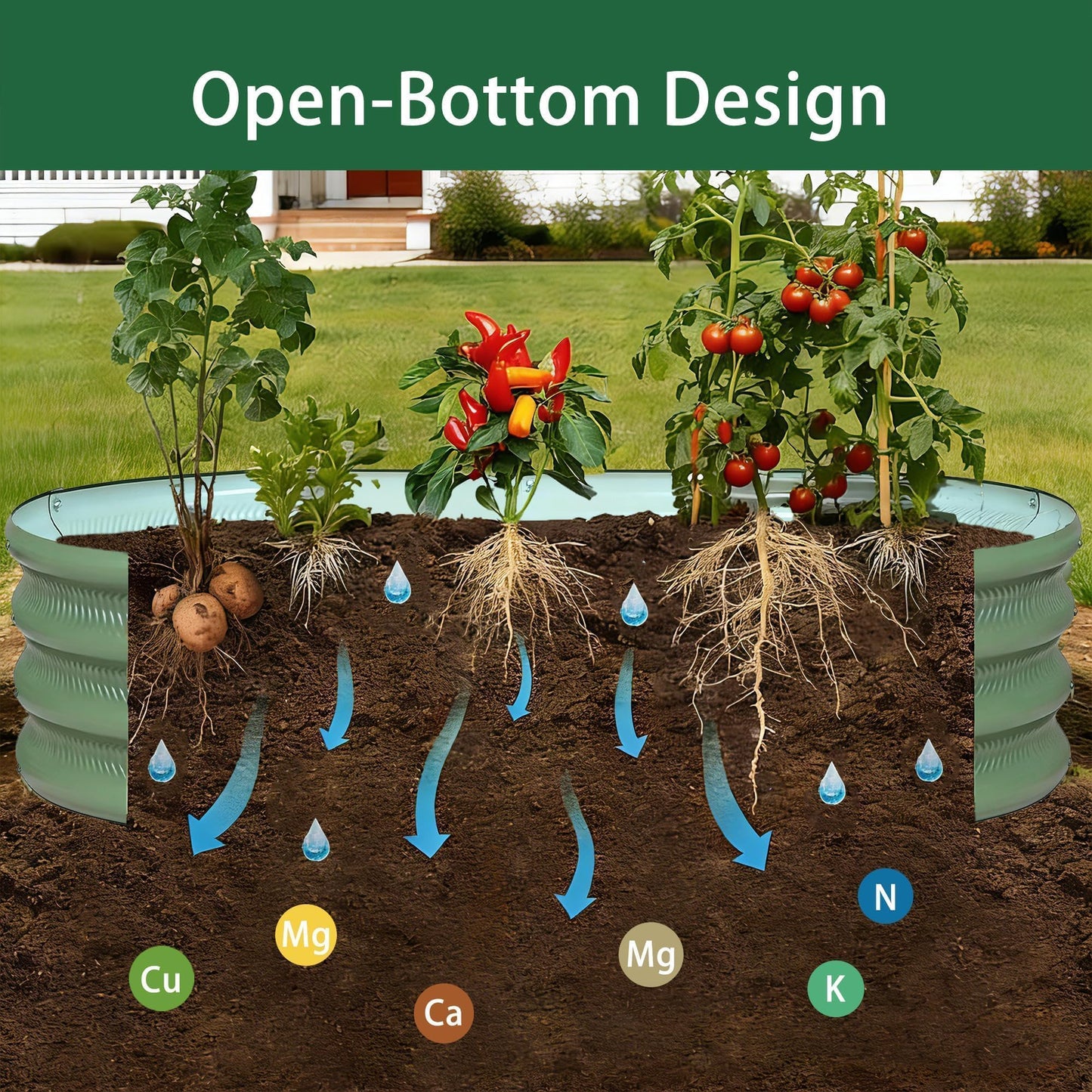 Gartist 2 Pack Raised Garden Bed Kits, 4x2x1FT Green Oval Galvanized Outdoor Planter Beds, Easy Assembly Metal Raised Bed for Vegetables, Flowers & Herbs