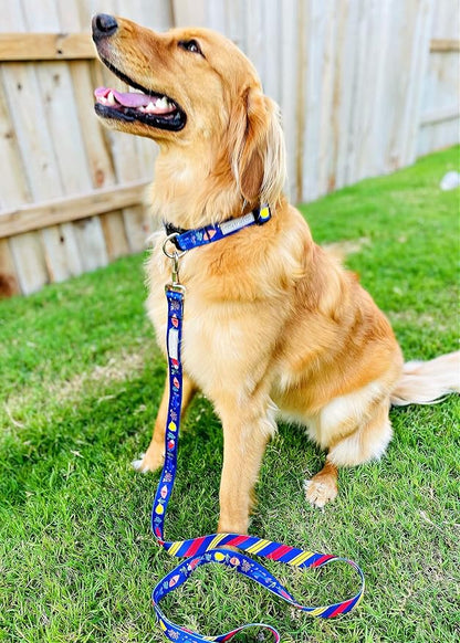 Lucky Love Dog - Easy Click Buckle Dog Collar with Leash Set Combo, Durable & Comfortable for Male & Female Dogs, Pet Collar for Small Dogs, Secure Fit - Mackey Combo, Small