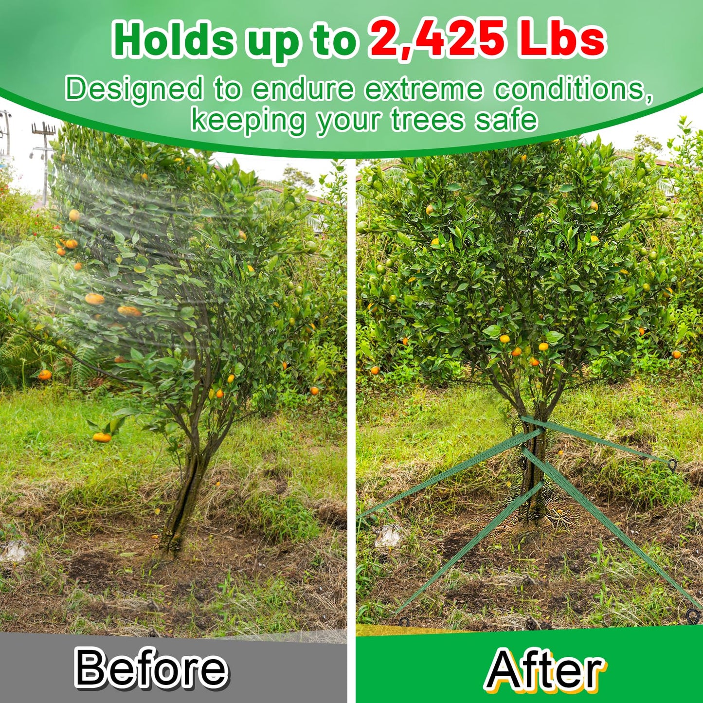 2,425 Lbs Strength Tree Straps - 216FT Tree Tie Support Straps for Staking, Green Blend in with Landscaping for Guying Young Trees Straight and Storm Protection, for Outdoor Plants, 1" Wide