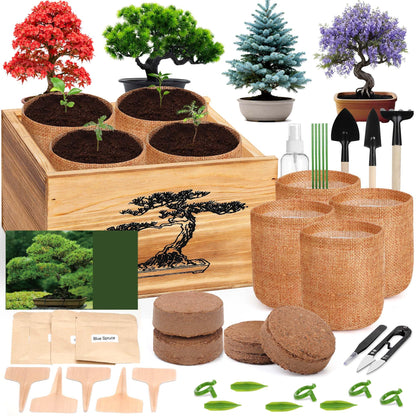 4 Pack Bonsai Tree Kit - 4 Seeds Growing Plant Bonsai Tree Live Kit for Beginners, Easy to Grow Complete Indoor Garden Starter Kits with Wooden Box & Tools, Christmas Gifts for Men Women Plant Lover