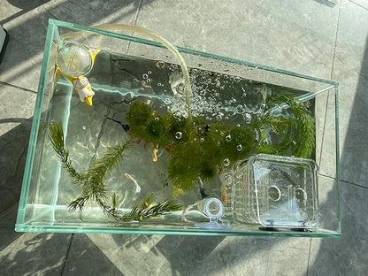 AWXZOM Small Nano Tall Rimless Tank, Glass Fish Tank, Betta Fish Tank, Aquarium (2.85 Gal, 11.8x6.7x7.8 inch)