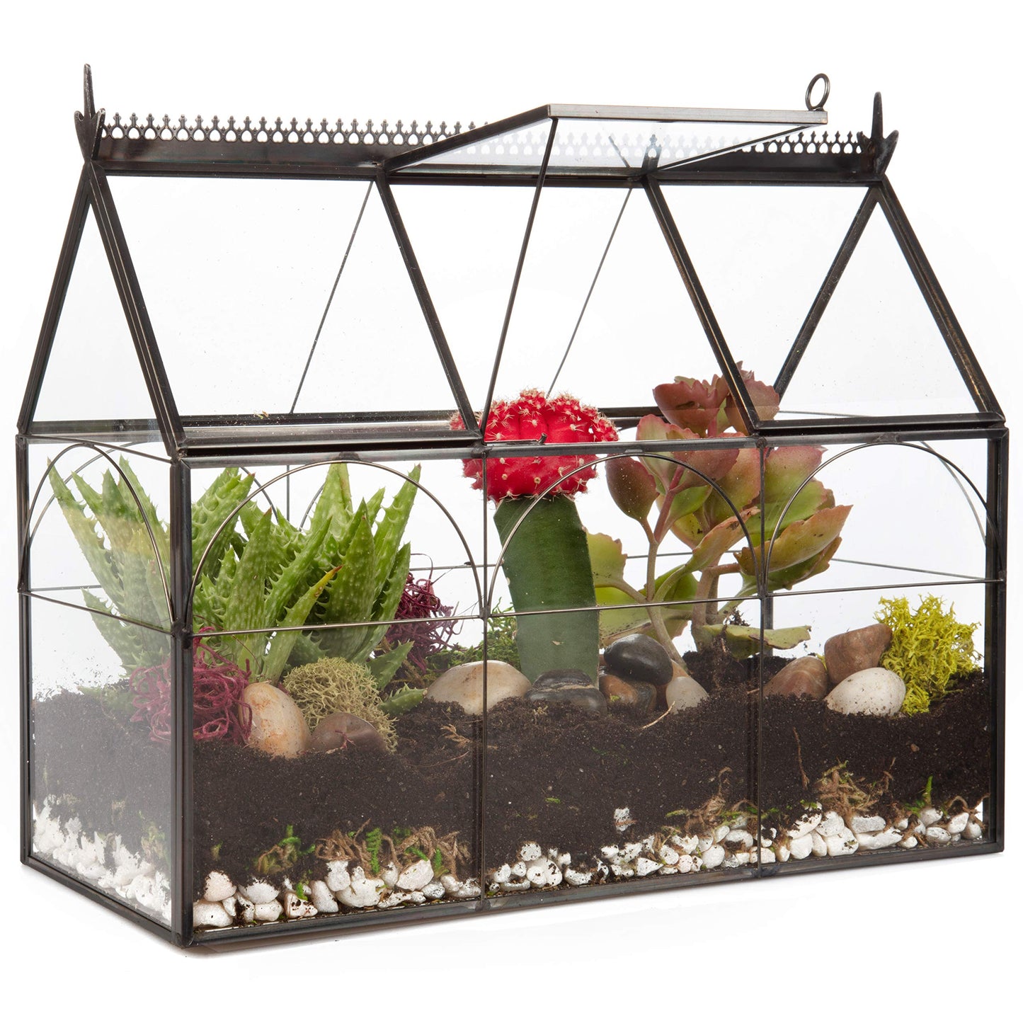 D'Eco Glass Greenhouse Centerpiece (10x4.5x9) - Spring Home Decor & Wedding Letterbox - Tabletop Geometric Planter Terrarium - Fill with Succulents, Moss, Flowers for Plant Lovers