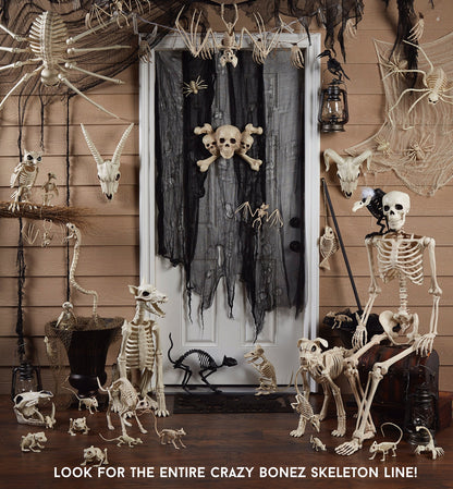 Crazy Bonez Skeleton Spider Halloween Decoration, 20.5 x 12 Inch Bendable Legs, Durable All-Weather Plastic Spooky Prop for Indoor or Outdoor Displays