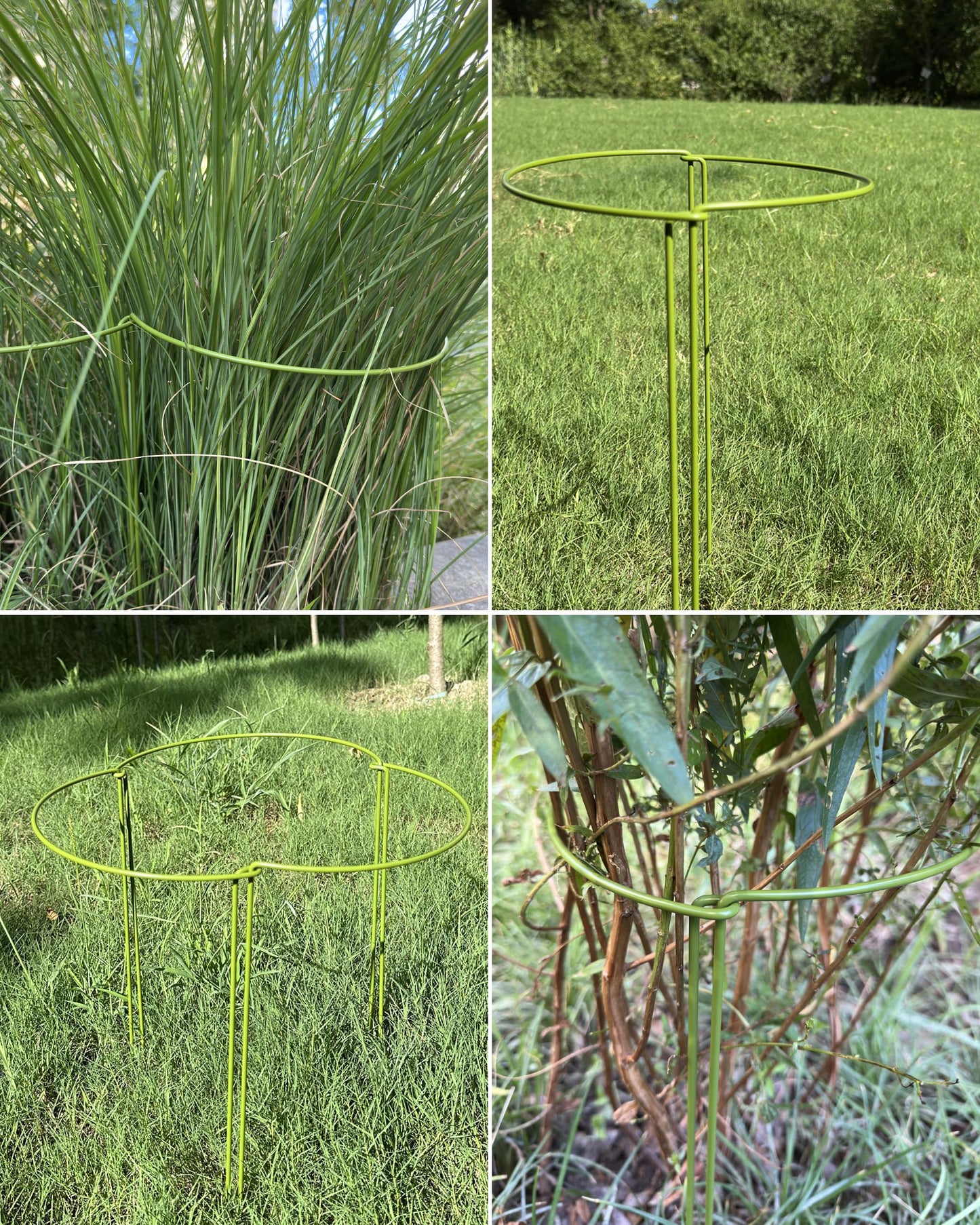 10-Pack Plant Support Stakes, Heavy Duty Steel Plant Stakes as Monstera Plant Support & Peony Cages, Metal Garden Stakes for Indoor Outdoor Plants, Snake Plant & Vine Support, 10" W x 15.8" H