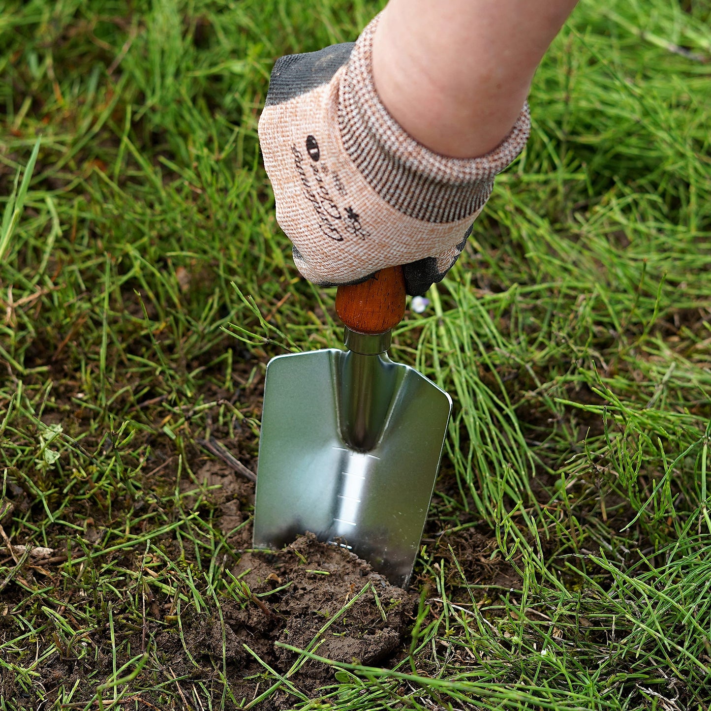 Japanese Garden Trowel Heavy Duty Japanese Steel with Wood Handle, Garden Transplanter Tool for Digging, Scooping, Transplanting, Made in Japan, Large Silver