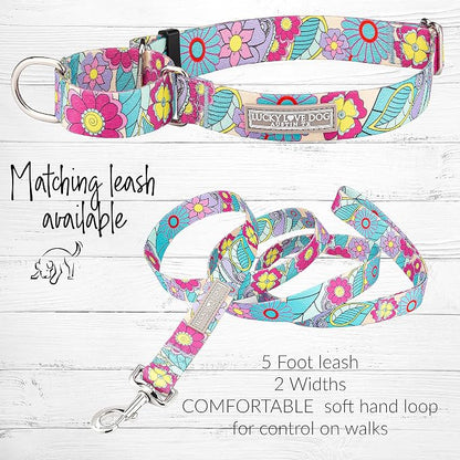 Lucky Love Dog Martingale Collar, Premium No Slip Martingale Collar for Medium Dogs, Great for Whippets, Greyhounds, and More (Caroline, Medium)