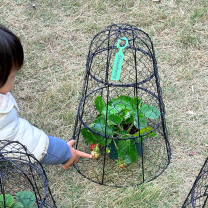 6 Pack 11.4" D x 17.7" H Garden Cloches for Plants,Rustproof Chicken Wire Cloches Flip-Top Design,Upgraded Triple Combination,Plant Protectors from Animals,Ideal for Outdoor Plant Protection