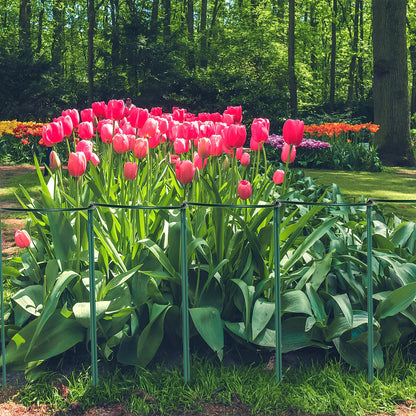 TCBWFY 24"Hx10"D Plant Supports Stakes for Large Heavy Plants,20 Pack Peony Supports,Heavy Duty 4.5mm Wire Peony Cages,Interlock Garden Supports Ring Border Support,Plant Support Cage for Rose Flowers